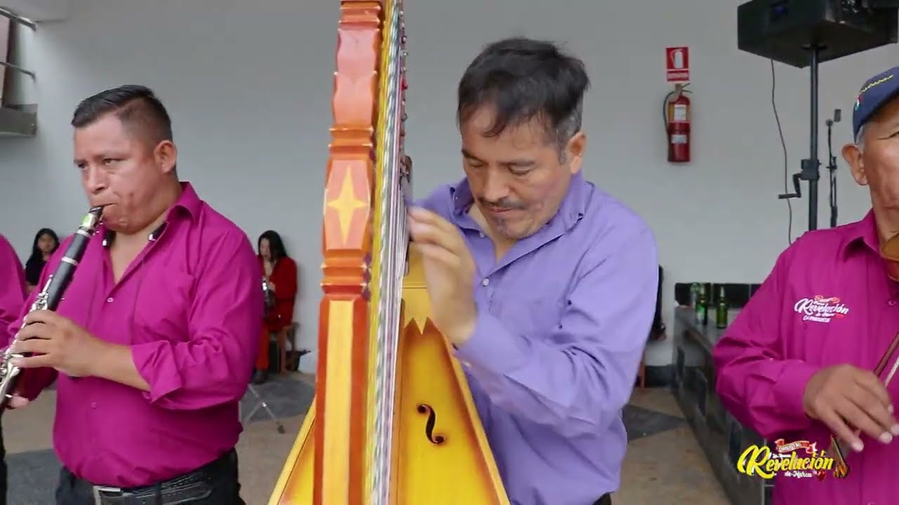 Orquesta Nueva REVELACIÓN de Marca ❤