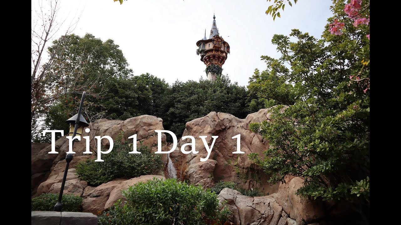 Disney Vlog 1 (Trip 1, Day 1) Return of the Disney Fan