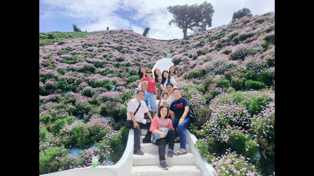 【马来西亚旅游】【旅程记录】我们的Family Trip❤