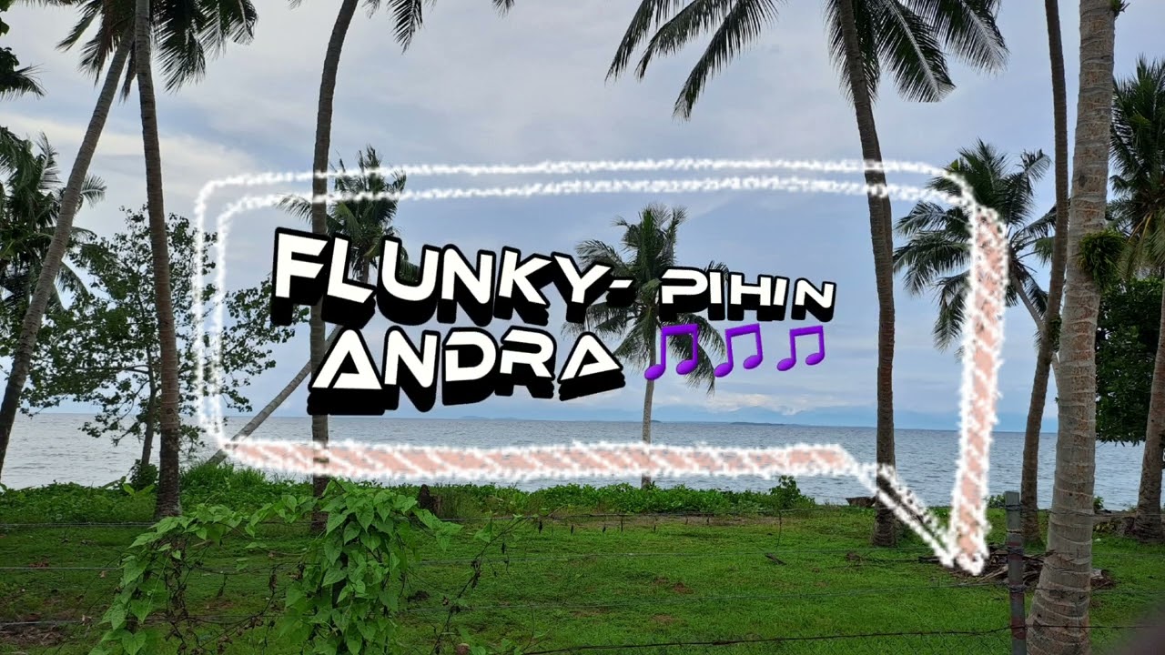 FLUNKY- PIHIN ANDRA 2025 LATEST MUSIC