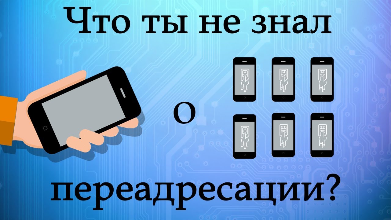 Как заработать на переадресации Авито. Курс, урок 5