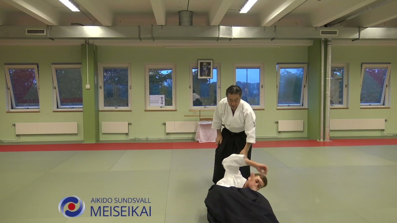Aikido Gyaku Hanmi Iriminage Omote Shishiya Sensei Malmö, 2019