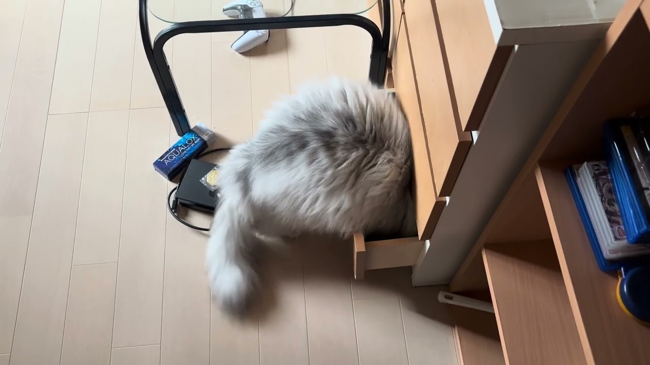 開けて入る