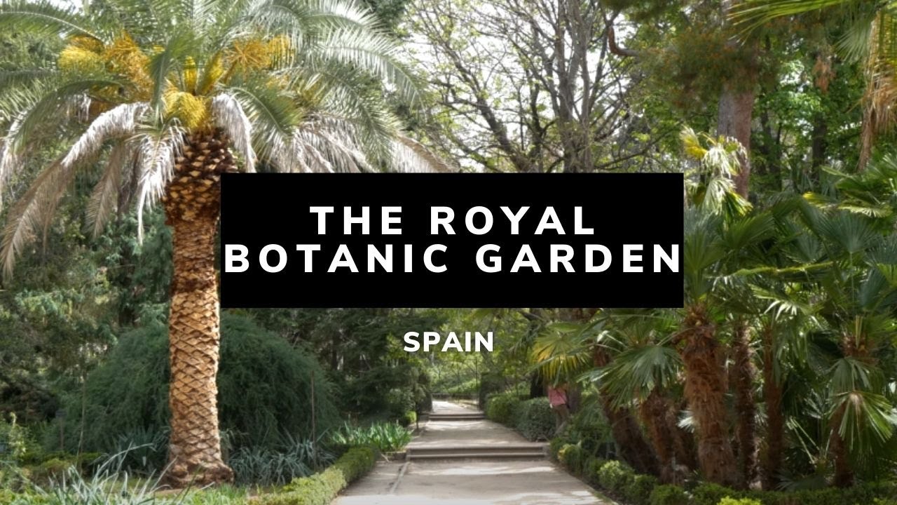 The Royal Botanic Garden | Madrid | Real Jardín Botánico | Spain | Things to do in Madrid
