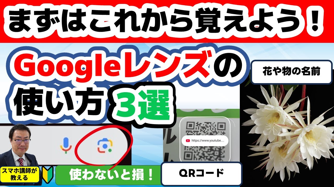 【これ知らないと損！】Googleレンズで分かる“あの名前”その他にも覚えておきたいGoogleレンズの便利機能３選　シニア、初心者向け