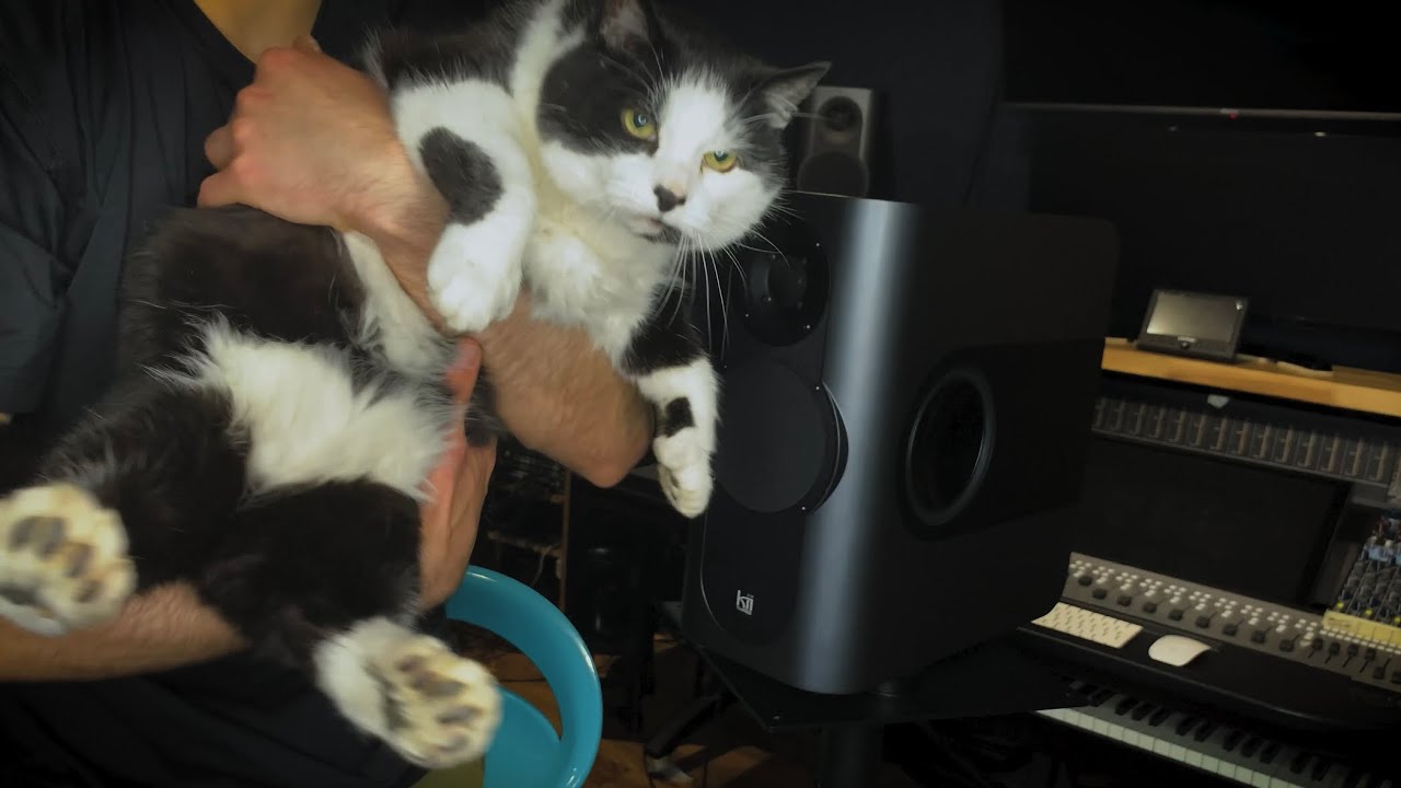 Kii 3 monitors (revisited) - HOW THEY HELPED ME MIX LIKE A PRO