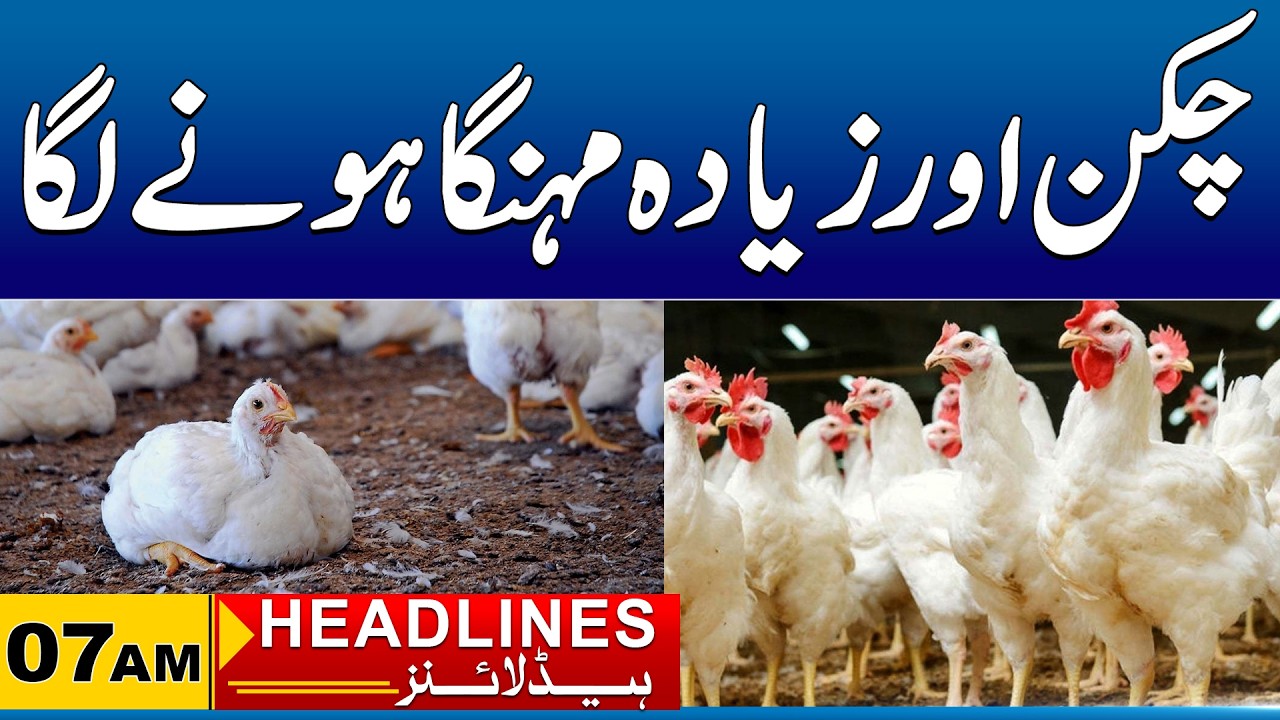 Chicken Price Hike Again | 07AM News Headlines I 02 Mar 2026 I City41