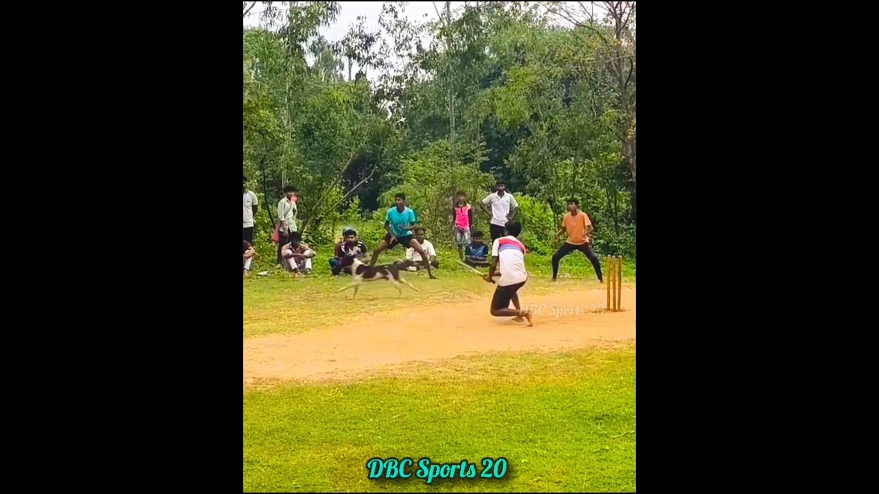 Madhu Danger Short 🔥💥 #cricket#promaxprince05 #cricketlover #teamprince#dance