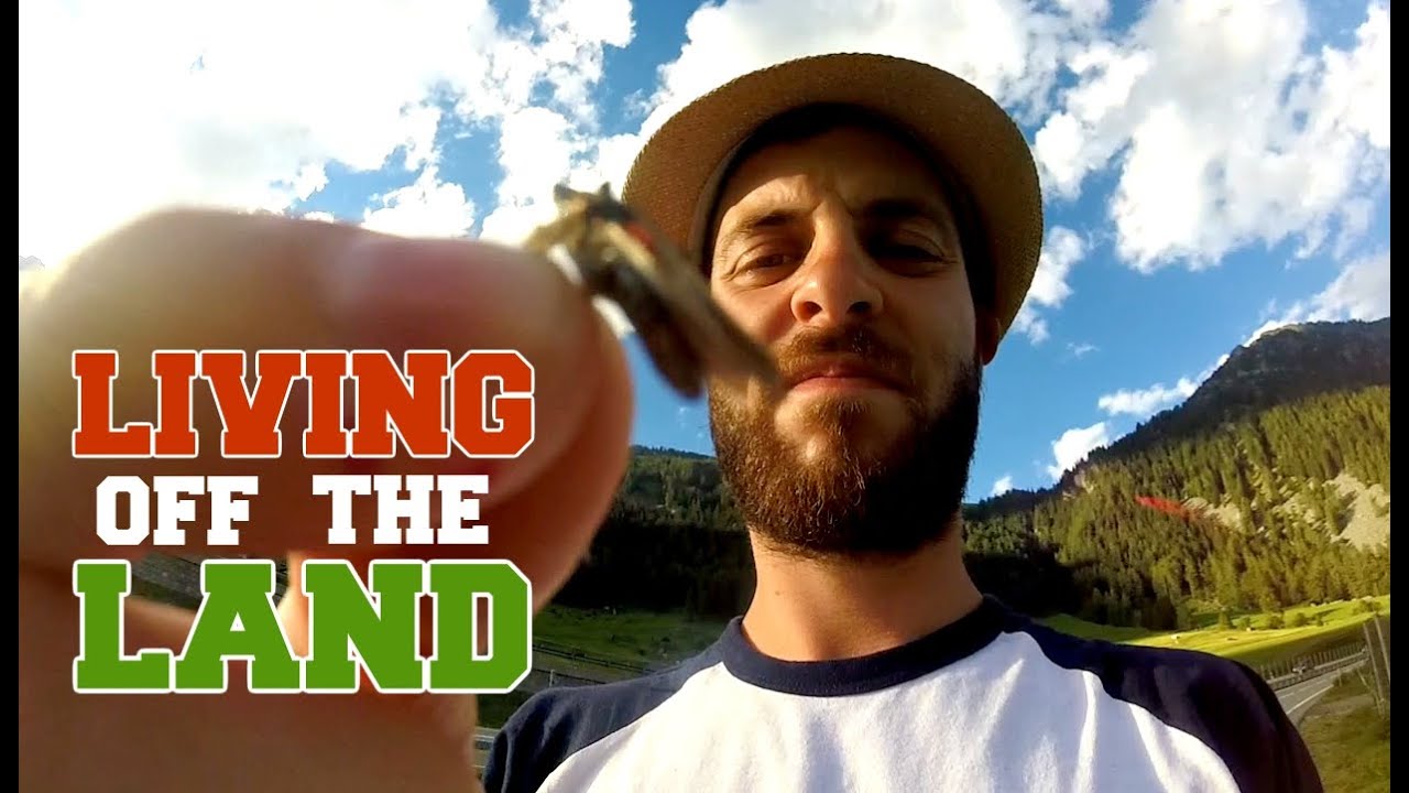 I attempted to live off the land for an entire day. It became so much more than a quest for food.