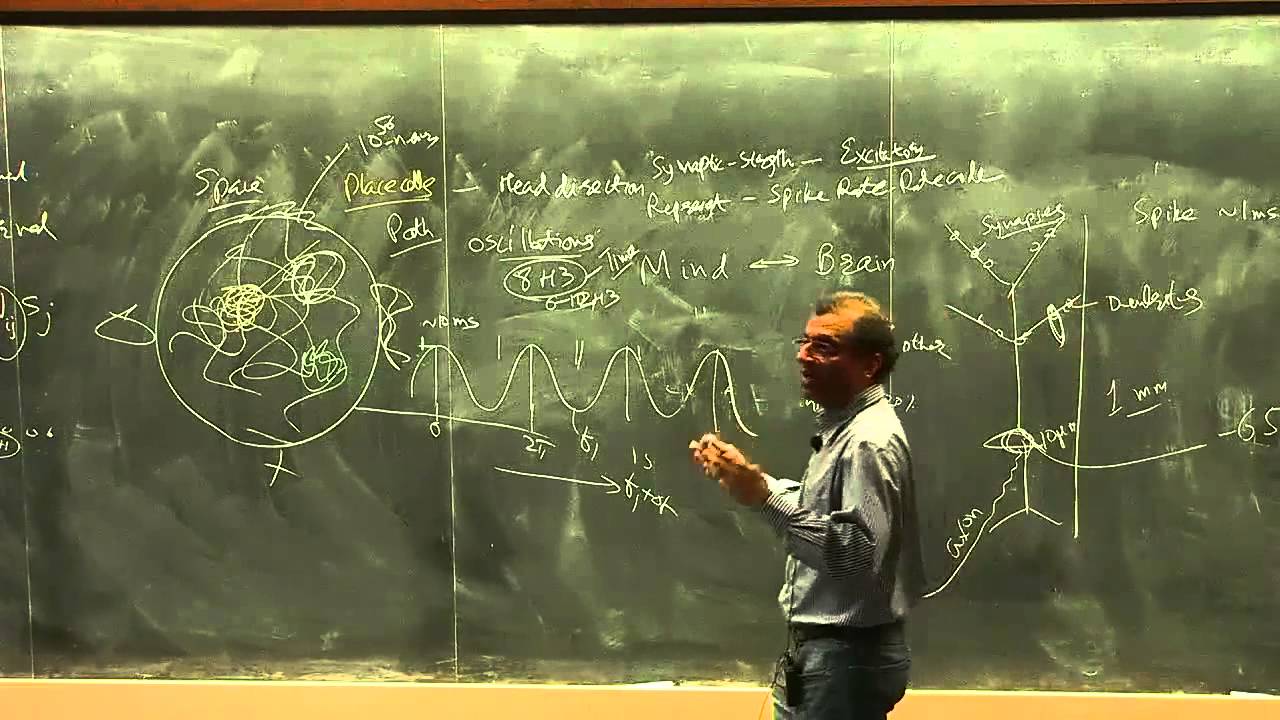 Neurophysics of Space, Time and Learning | Mayank Mehta