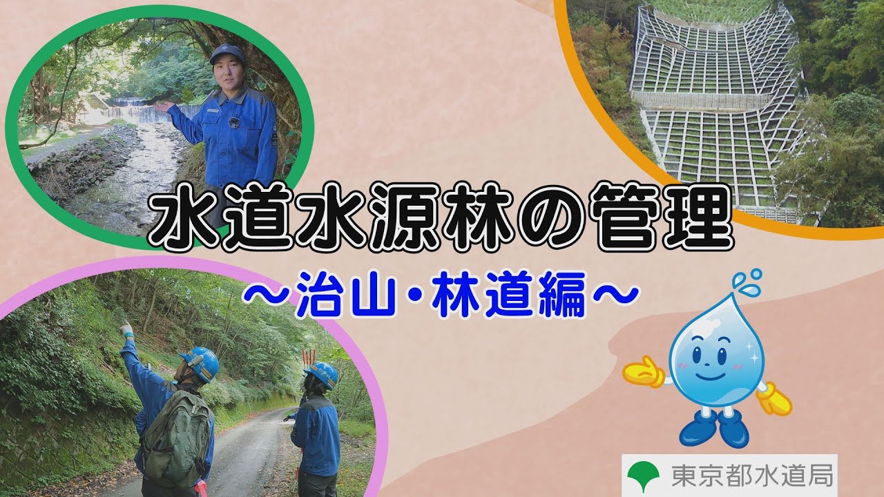 水道水源林の管理～治山・林道編～