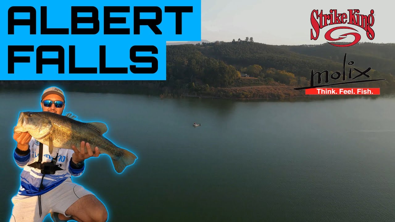 Pre-Spawn ALBERT FALLS Bass Fishing!
