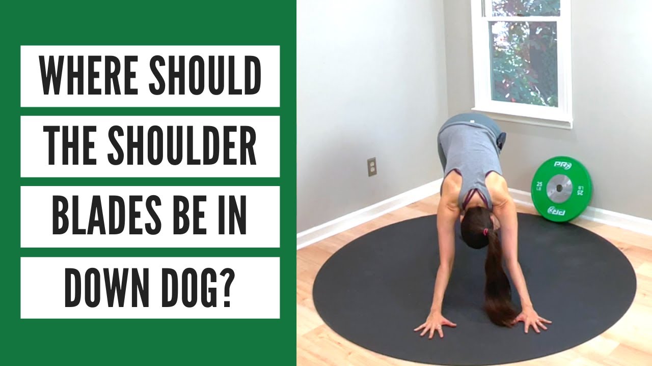 Where Should the Shoulder Blades Be In Down Dog?