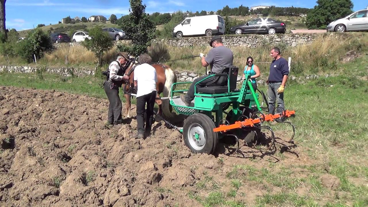 Fête du cheval 2015 à l'Habitarelle (Châteauneuf de Randon, Lozère)