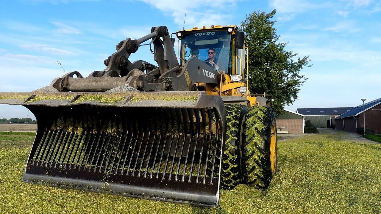 Mais oogst met John Deere 8400i Loonb. Wieringa & Buitenkamp.