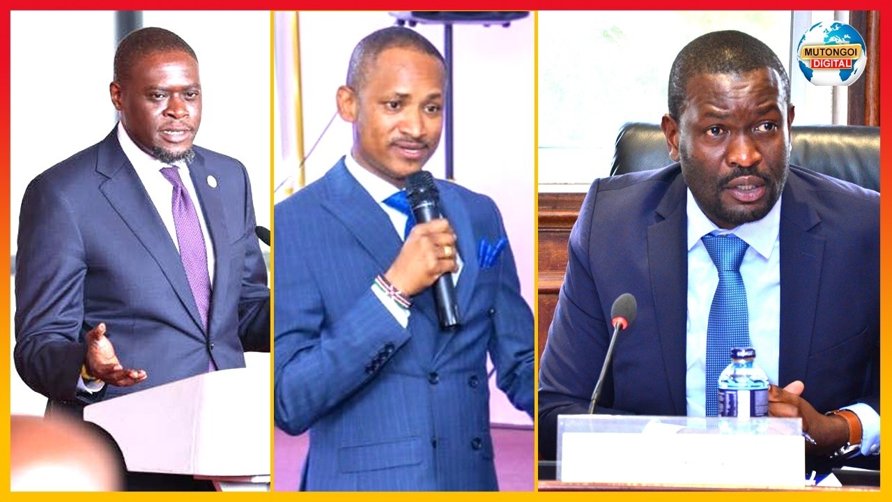 SENETA SIFUNA NA BABU OWINO KUVUTHIISYA WIW’ANO WA NGAVANA SAKAJA NA PRESIDENT RUTO