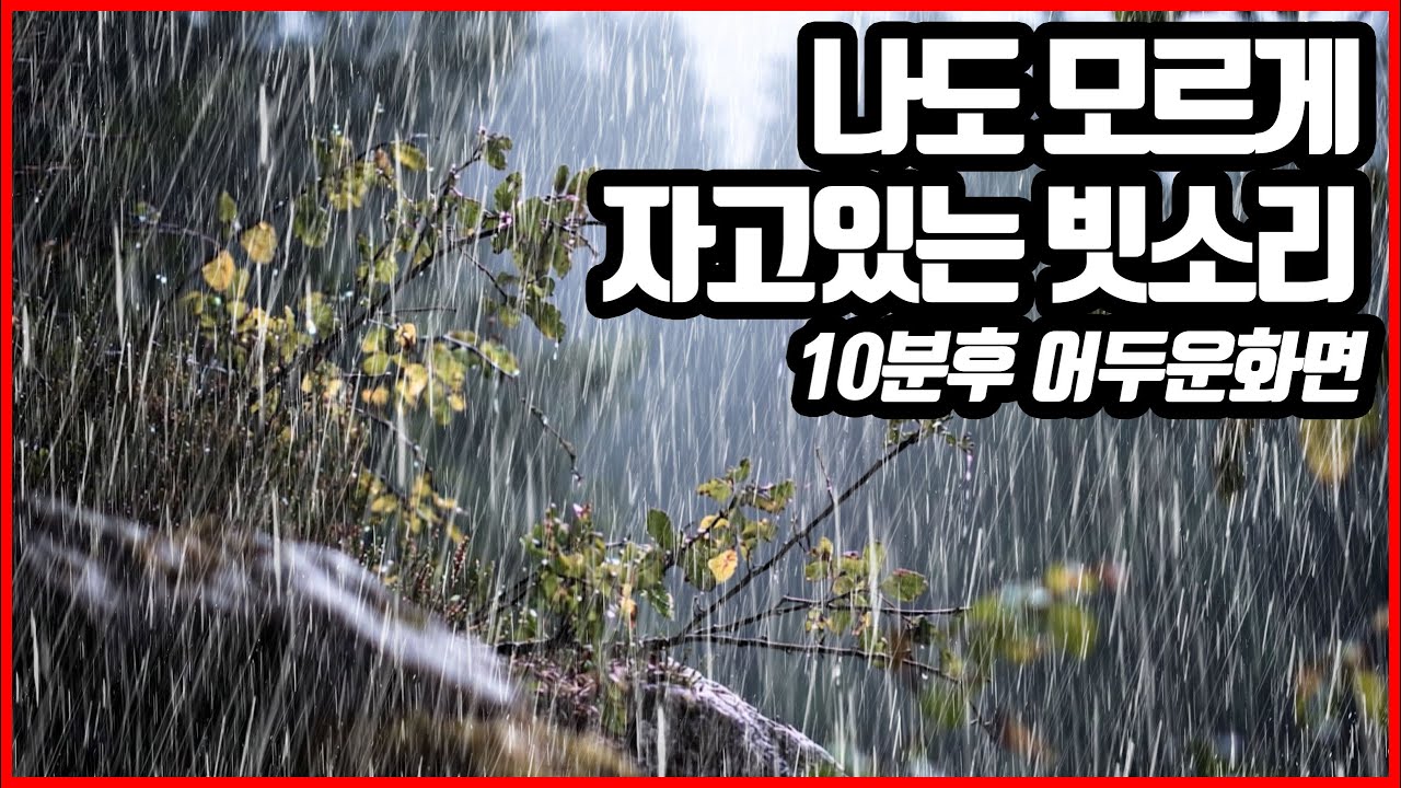 나도 모르게 자고 있는 빗소리｜이명 불면증 치료효과｜10분후 화면꺼짐 ｜RAIN SOUND