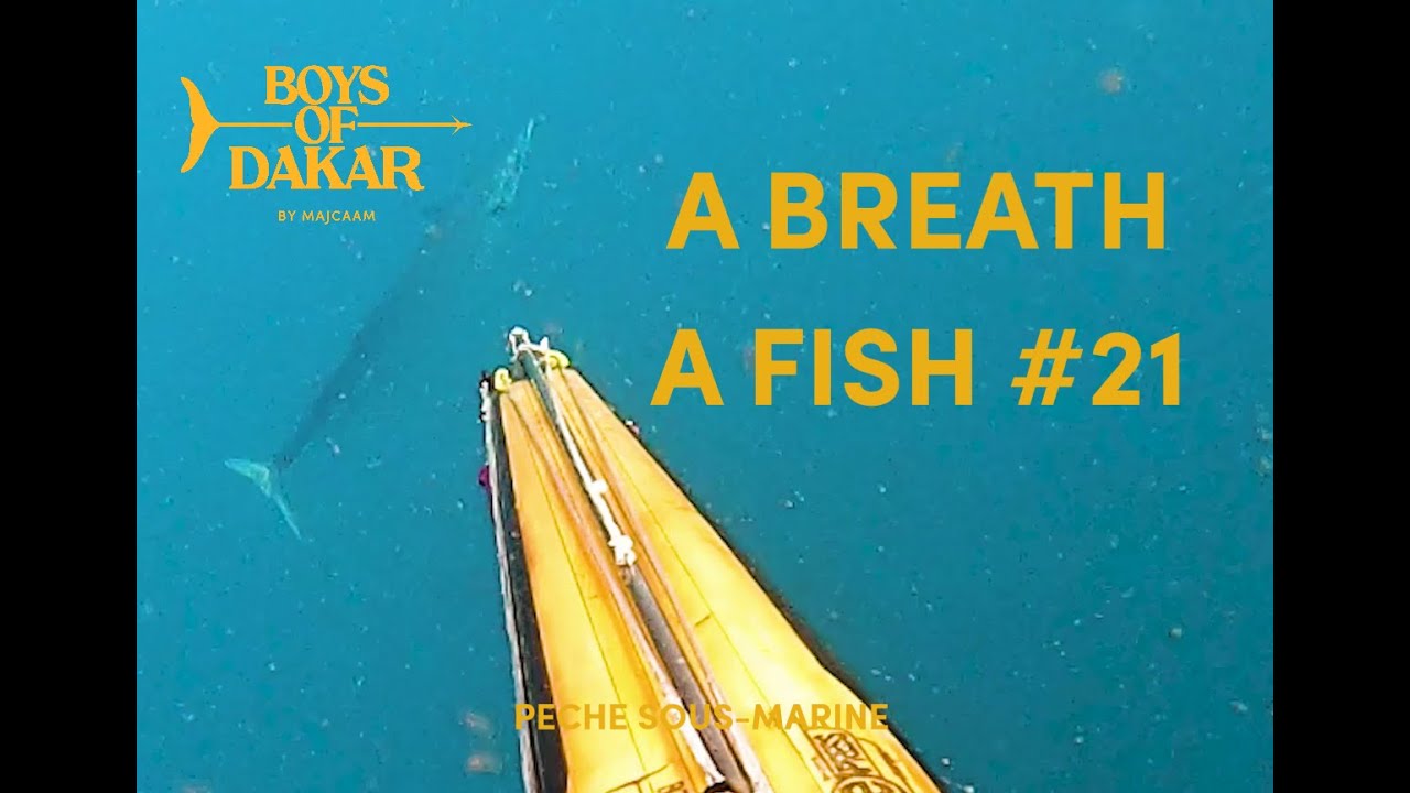 🥉PECHE SOUS-MARINE - A BREATH A FISH #21 - MAJCAAM - BOYS OF DAKAR - Ep.289