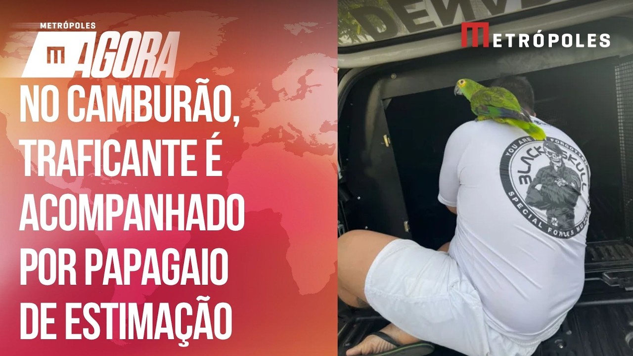 Traficante tem companhia de papagaio no camburão