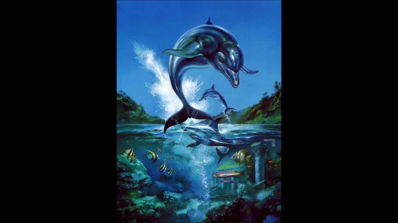 Ecco the Dolphin - The Vents [EXTENDED] Music
