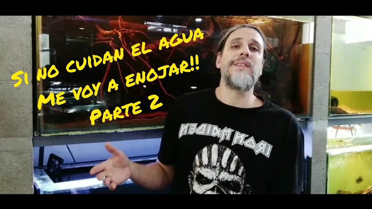 Agua en el acuario. Por que no se le presta la atención necesaria? Parte 2
