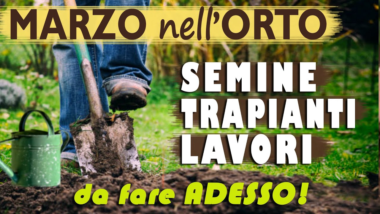 ORTO di MARZO | SEMINE, TRAPIANTI, LAVORI da fare a MARZO in ORTO