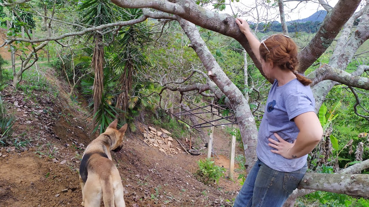 Construindo um novo quiosque na roça!