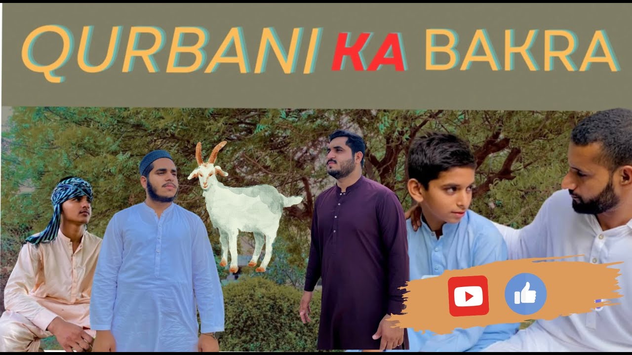 QURBANI KA BAKRA | MR HAMZ | #mrhamza #qurbanikabakra #awareness #emotional #eiduladha #eidspecial