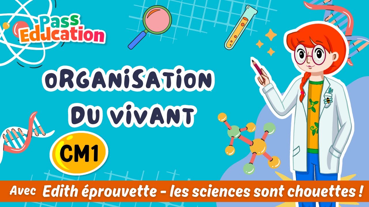 Organisation du vivant – Cm1– Edith Eprouvette: Leçon, Exercices, Évaluation