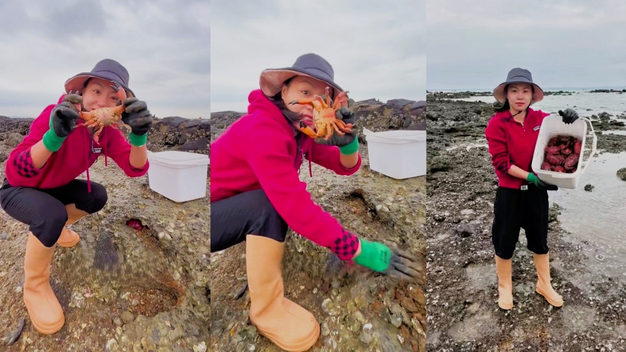 Нашла крабовое гнездо в скале 🦞Видео с рыбалки #ловля #рыбалка #краб #охота