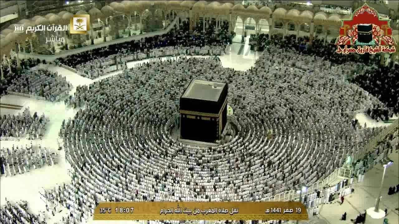 تلاوة تأسر الالباب من جمالها للشيخ ياسر الدوسري من صلاة المغرب 19 صفر 1441هـ