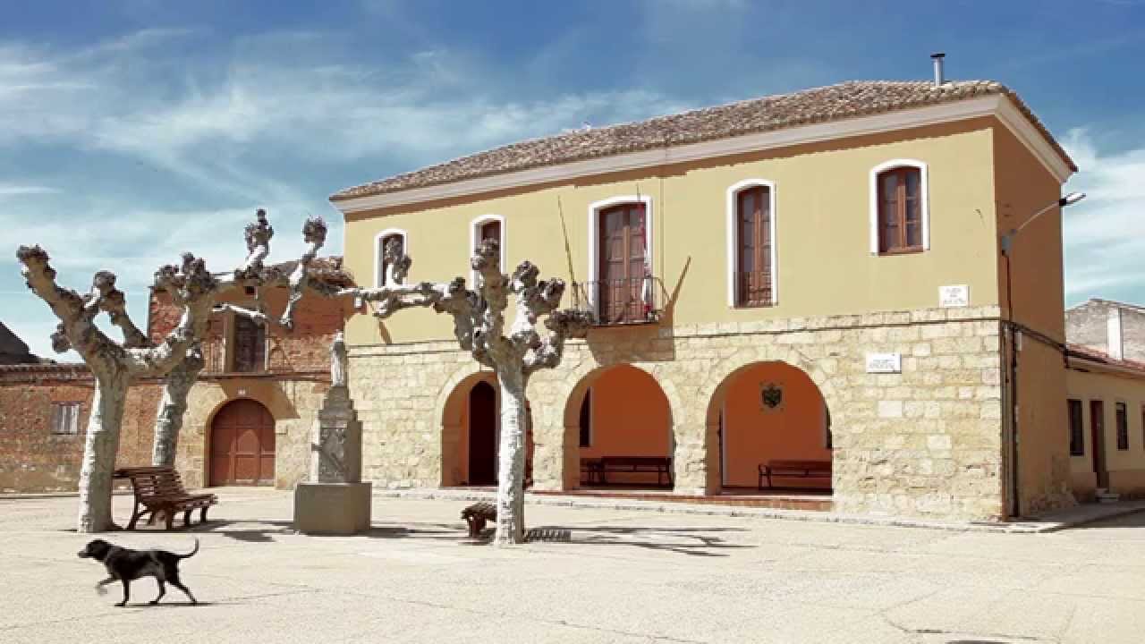 Meneses de campos
