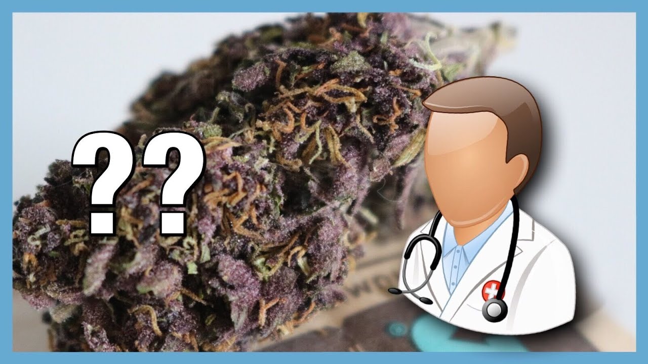 Doctors face knowledge gap, should cannabis courses be required? | NewsNug recap | CoralReefer