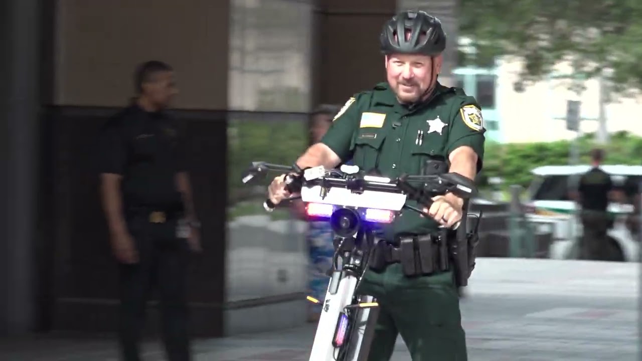 Набор сотрудников судебных служб PBSO