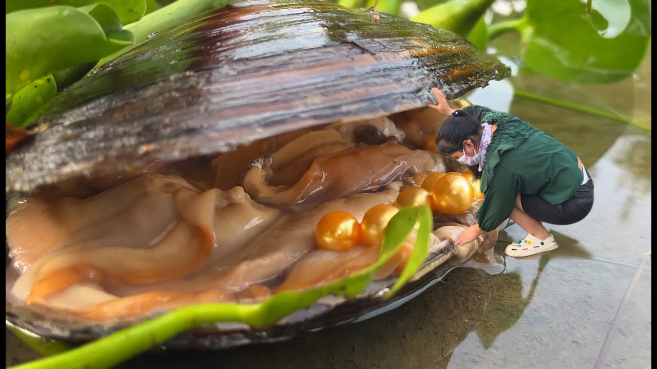 A legendary treasure! Girls Encounter Golden Pearl, Surprising Everyone