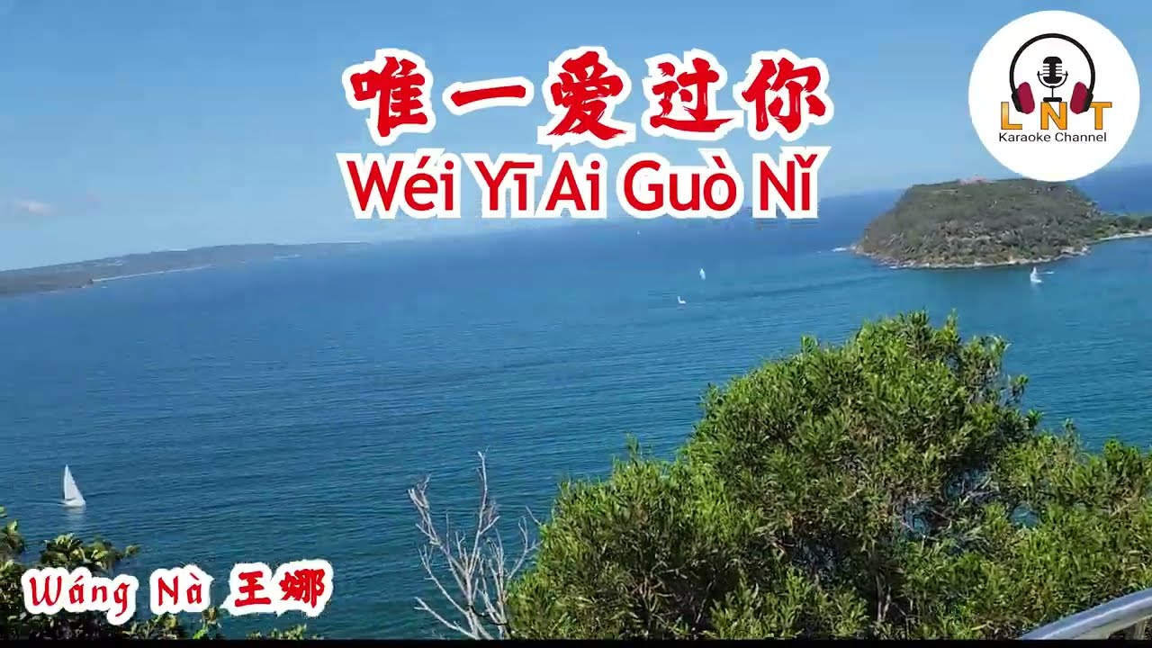 唯一爱过你 Wéi Yī Ai Guò Nǐ   Wáng Nà 王娜  vocal