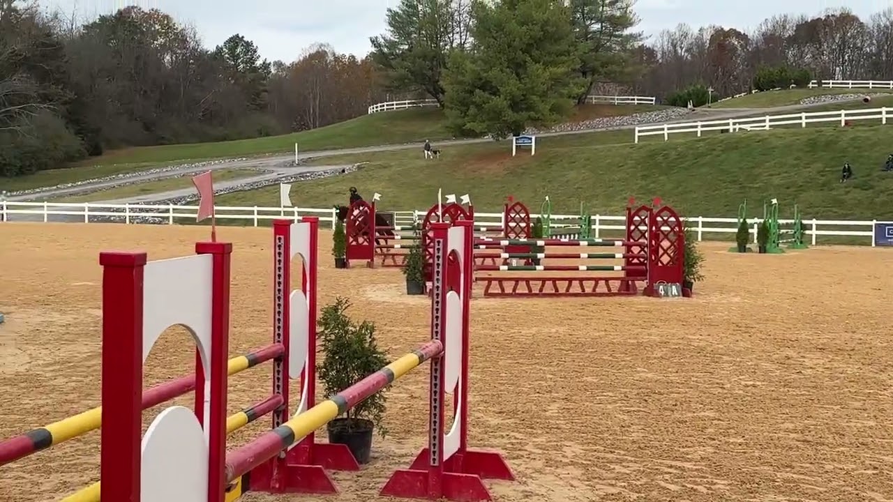My Lucky Coyote 2*L SJ @virginia
