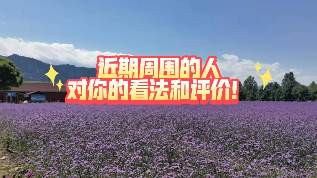 近期周围的人对你的看法和评价！（大众占卜切勿过度带入情绪，本期有雷！玻璃心慎入！不限关系 不限时空）