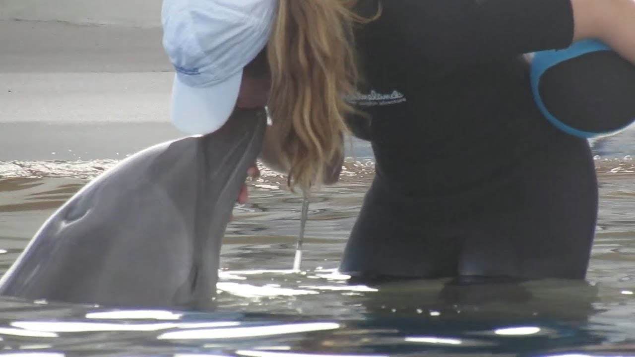 Marineland FL Footage 12/8/18