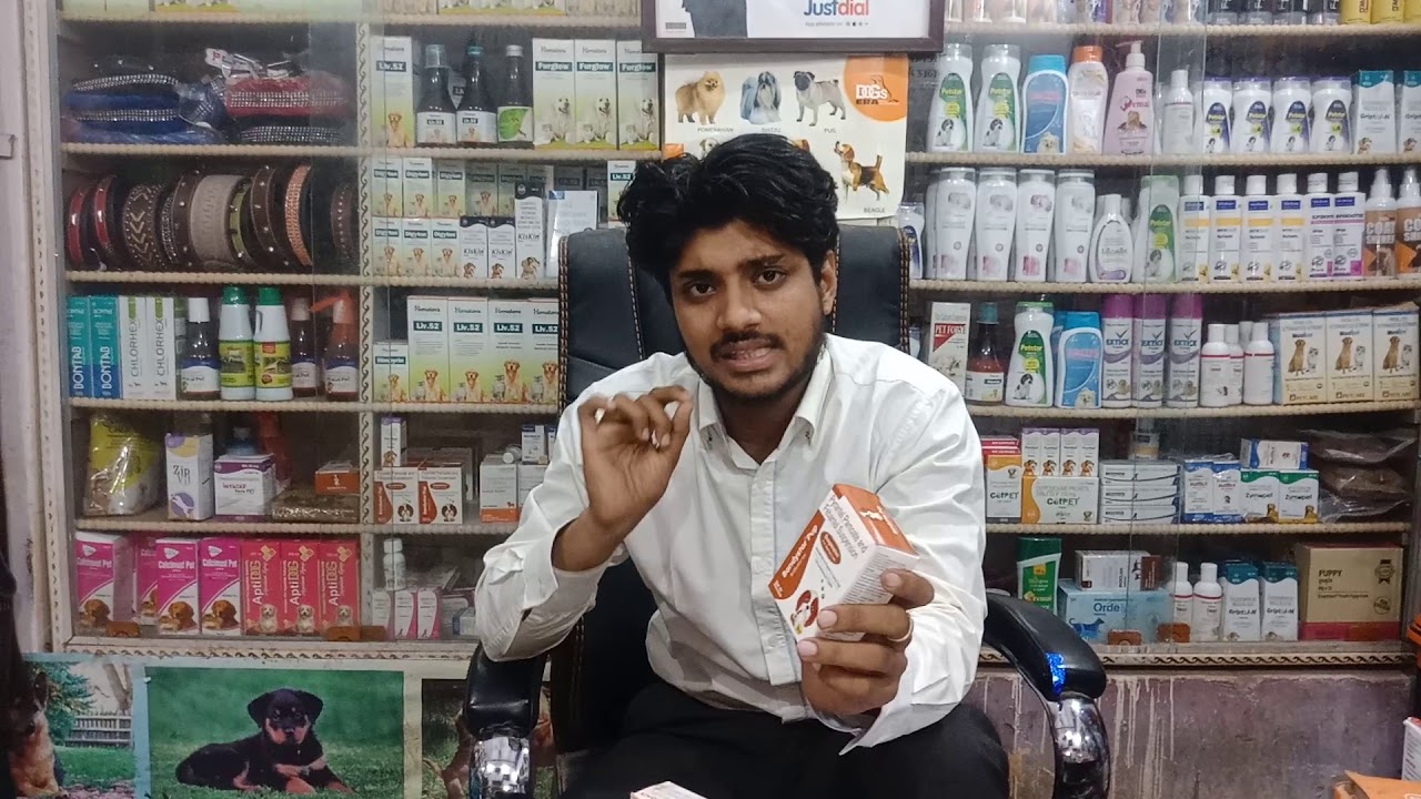 Pet care - Deworming information