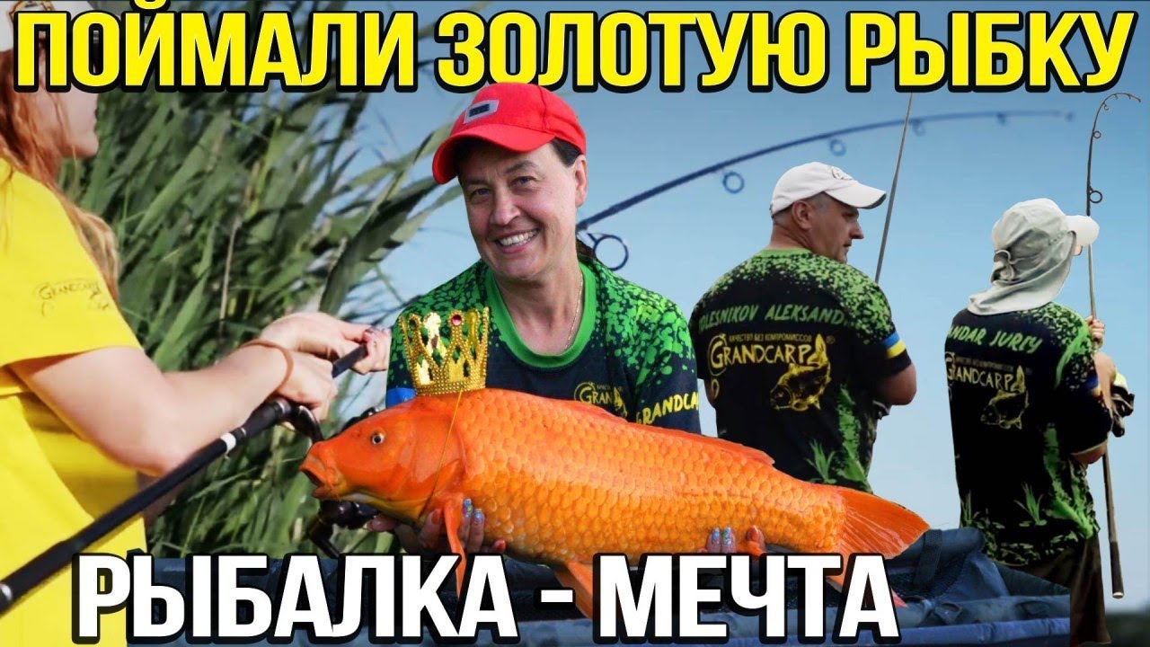 Поймали карпа кои . Рыбалка на карпа в жару. Карпфишинг.