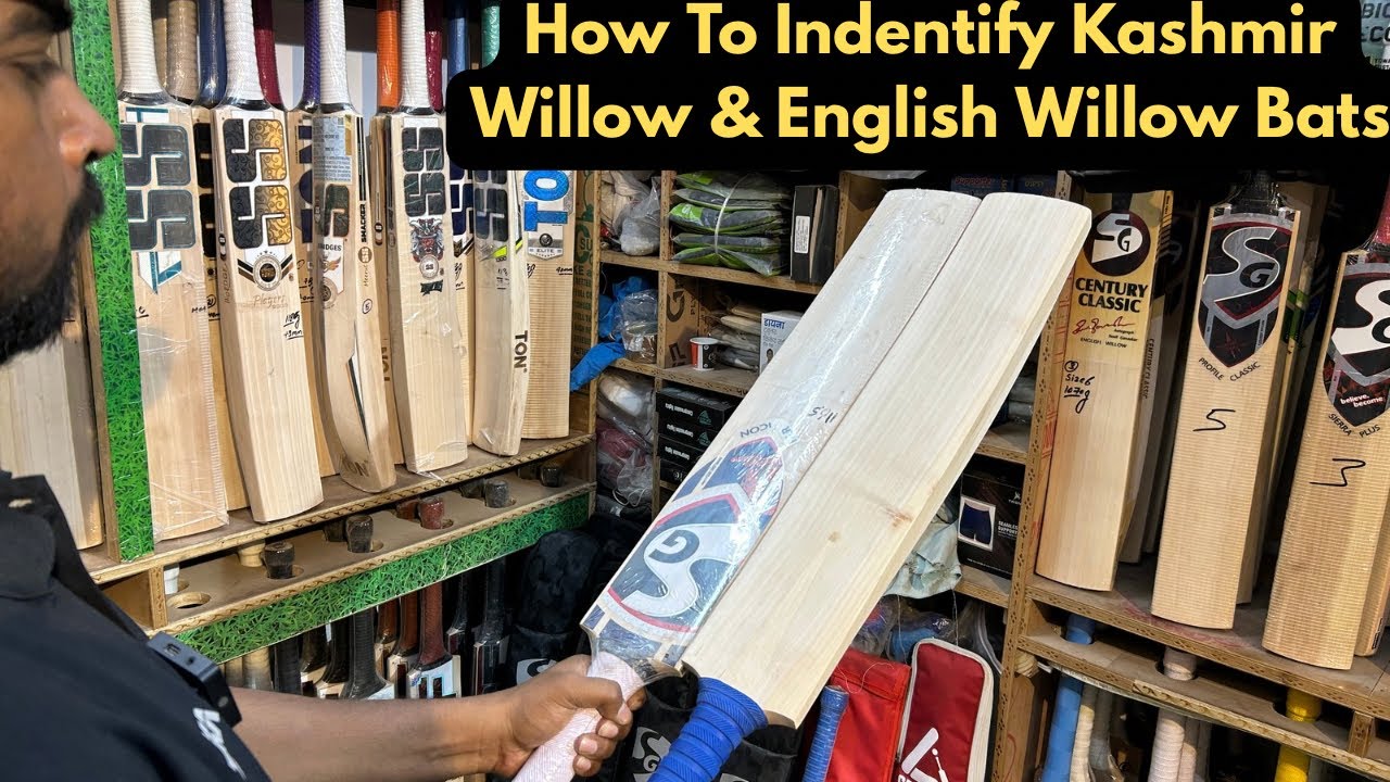 Difference Between Kashmir Willow & English Willow | How To Find English Willow Bats | Ai Sports