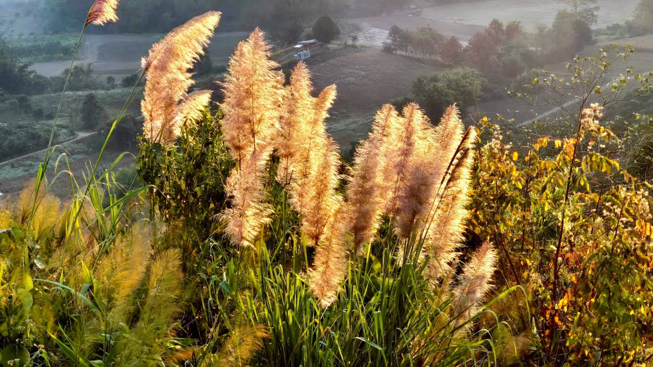 The road less travelled - Route 1148 Phu Langka beckons.. Pong, Phayao, Northeast Thailand.