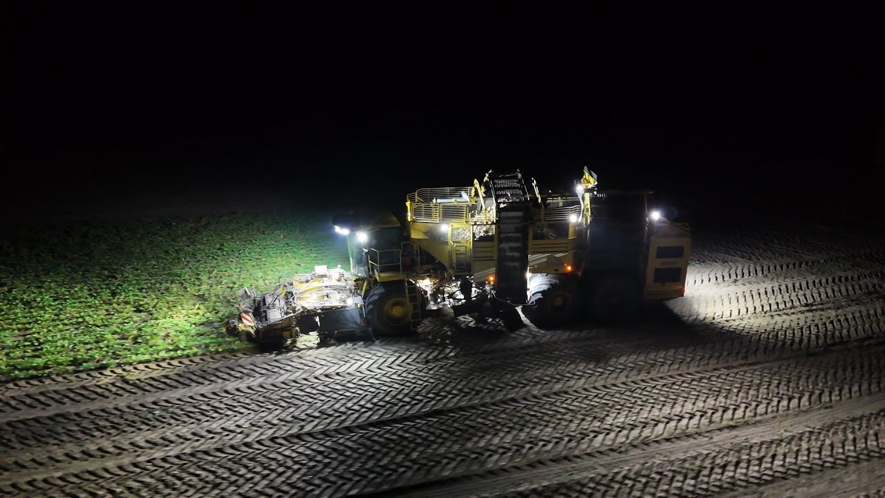 ROPA RÜBENRODER TIGER 5 am Rüben roden bei Nacht Abfahrer Claas und John Deere mit Krampe Mulden