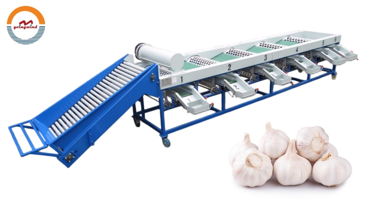 Automatic Garlics Sizing Grading Machine G-DG5 Industrial Garlic Size Grader Sorter Machinery