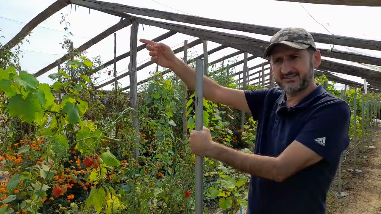 Cum sa construiesti un solar metalic robust dar economic