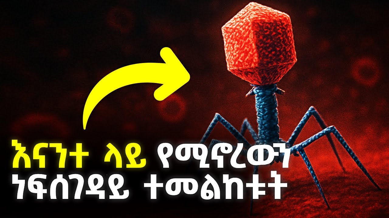 የምድራችን ነፍሰ ገዳዩ ፍጥረት ህይወታችሁን ሊያድነው ይችላል | The deadliest being on the planet Bacteriophage @ethiopix