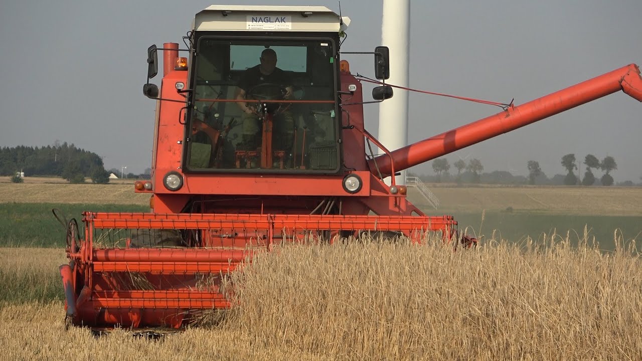 Naglak Premium na Bizonie Nowa kabina z klimatyzacją