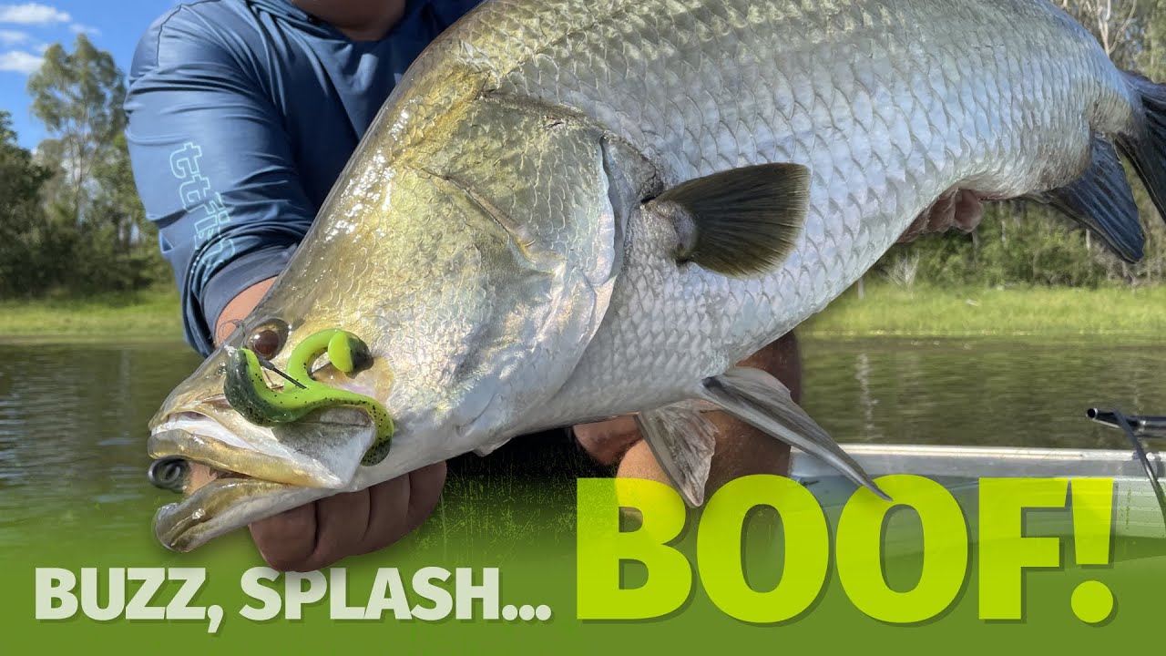 Surface Fishing for Lake Monduran Barramundi on ZMan 4