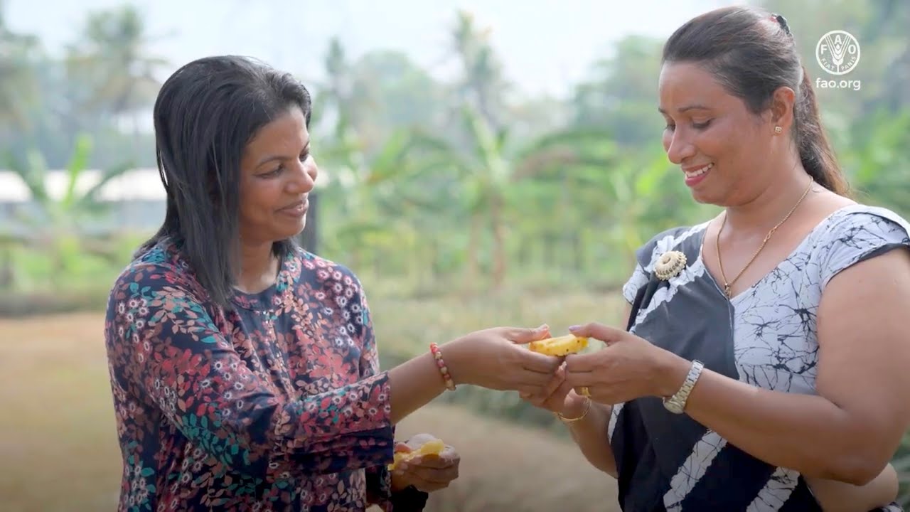 South-South Cooperation: turning simple solutions into greater income for farmers in Sri Lanka